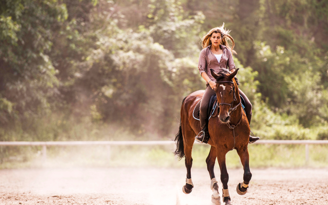 Horseback Riding Basics: What Every Beginner Should Know